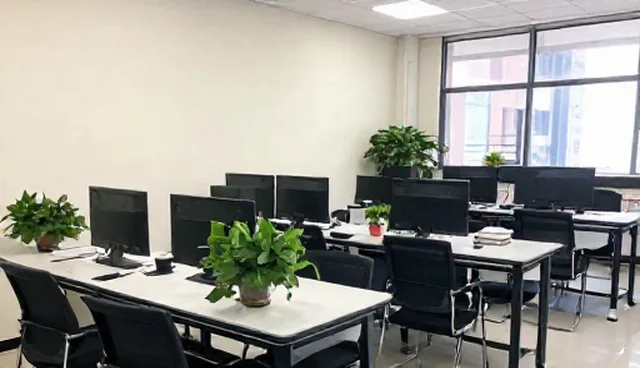 教育质量提升需结合学习规划与课程资源开发